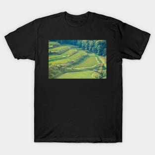 Kaiserstuhl, South-West Germany T-Shirt